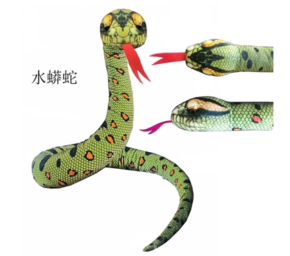水蟒蛇
